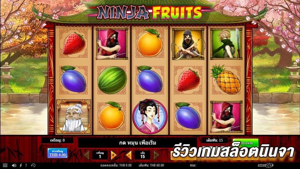 Ninja Fruits - Play'n Go