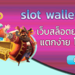 slot wallet 789